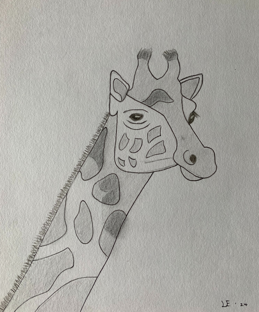 Giraffe Head - Original Pencil Drawing