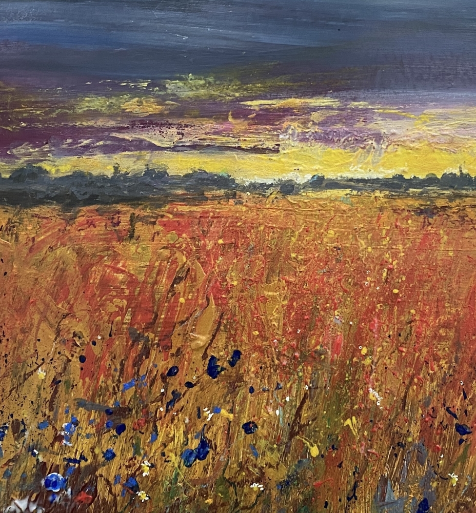 Edge of Town Cornfield with Wildflowers