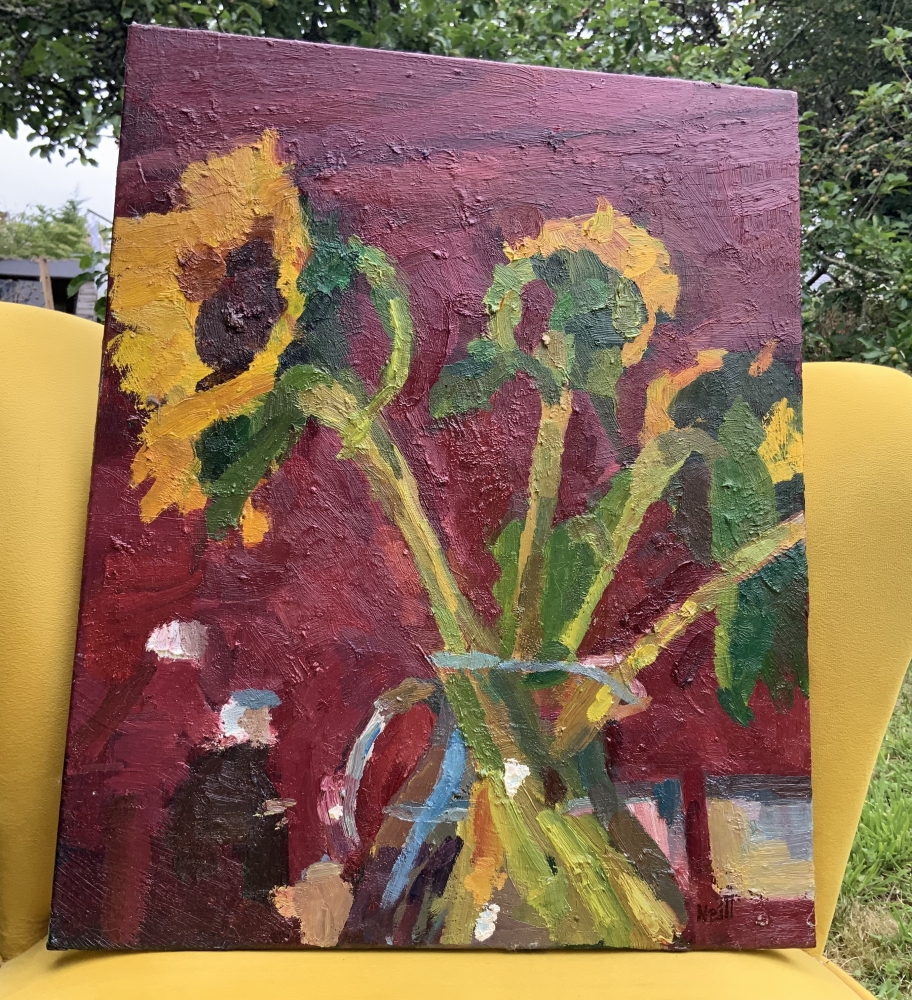 Sunflower in glass jug against rose madder wall.