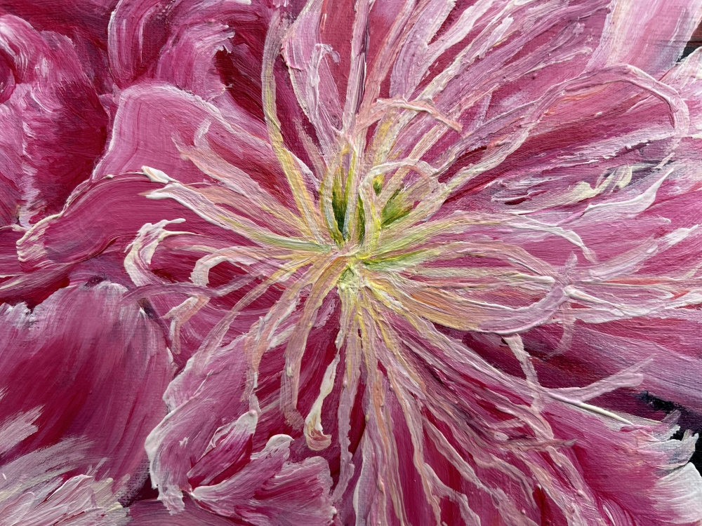 Pink Peonies by Elena Ciobanica