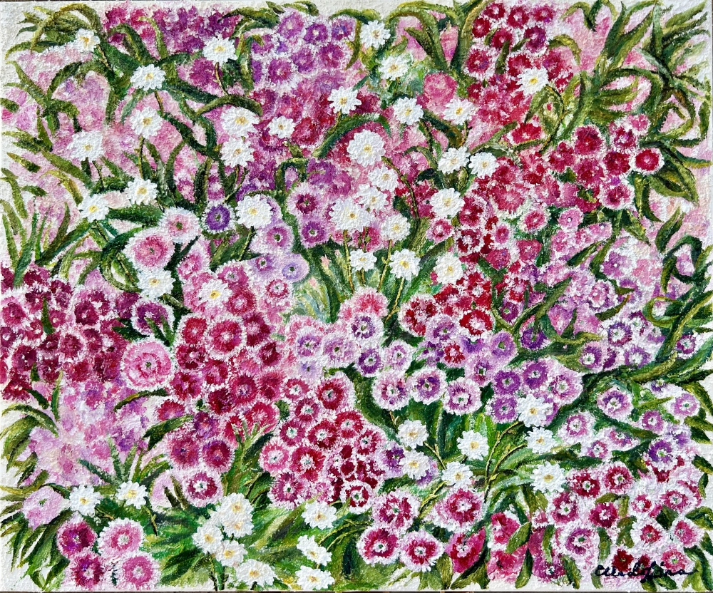 Sweet William multi floral by Elena Ciobanica