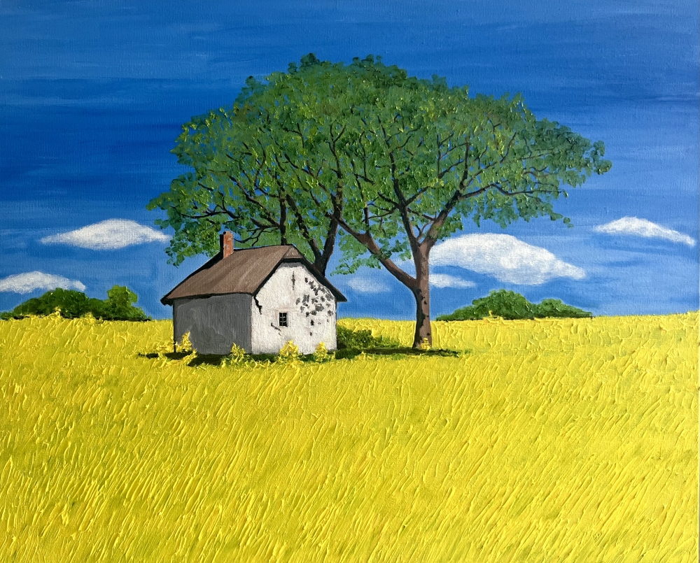 Old Cottage in the tape seed fields 