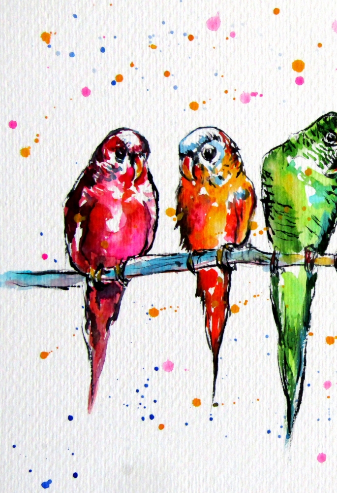 Parrots