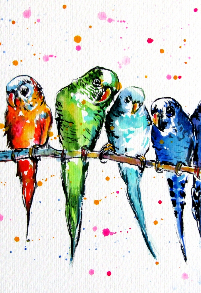 Parrots