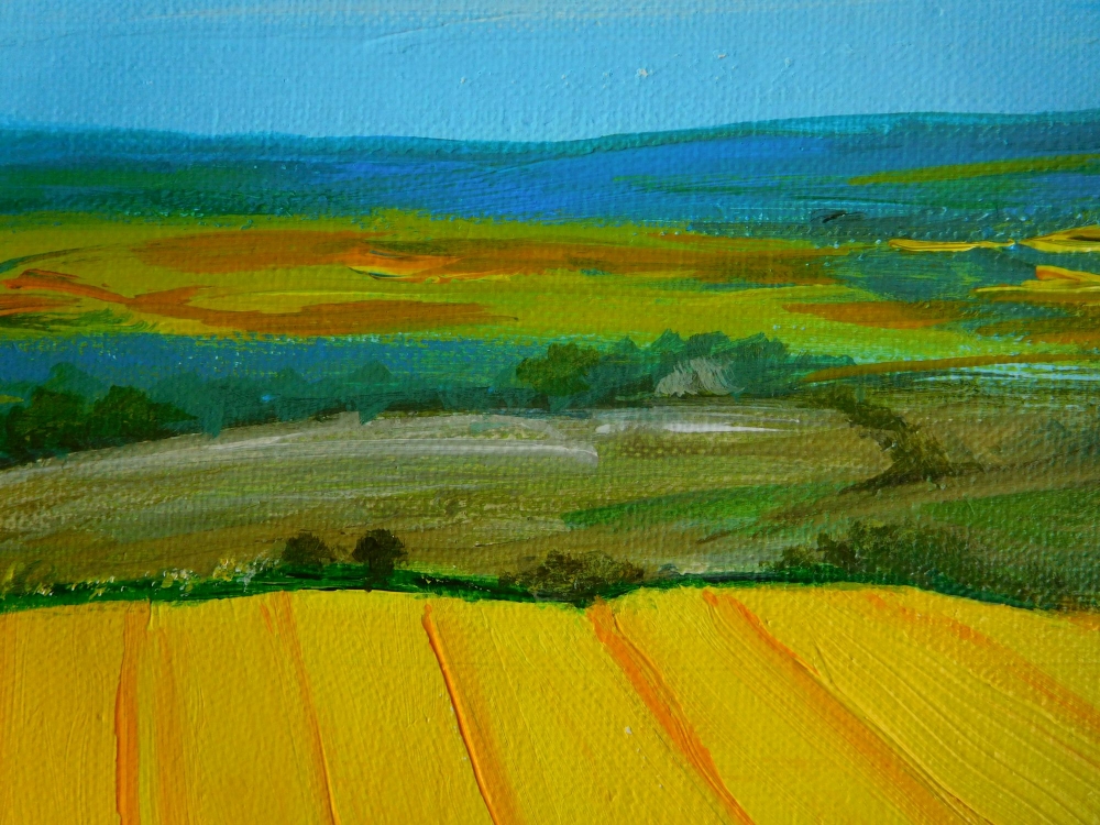 Yellow Fields - Summer Landscape