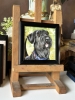 Miniature \"Giant schnauzer\"