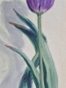 Tulip