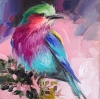 Lilac-breasted Roller bird