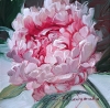 Peony original oil painting framed, Small painting pink flowers, Unique peony wall art, Floral art Valentines day gift for women