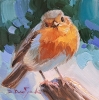 Robin bird painting original