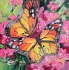 Two Butterfly art oil painting