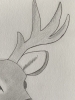 Deer - Original Pencil Drawing