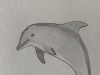 Dolphin - Original Pencil Drawing