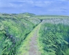 Coastal Path at Porth Oer