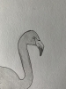 Flamingo - Original Pencil Drawing