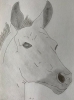 Foal - Original Pencil Drawing