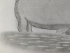 Hippopotamus - Original Pencil Drawing