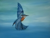 Kingfisher in Flight