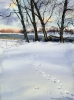 Footprints in the snow