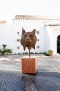 Iberian lynx Head Study