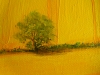 Yellow Fields - Summer Landscape