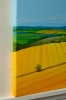 Yellow Fields - Summer Landscape