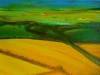 Yellow Fields - Summer Landscape