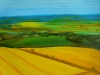 Yellow Fields - Summer Landscape