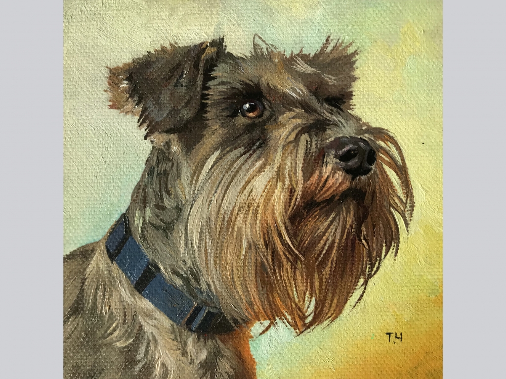 Miniature \"Miniature Schnauzer\"