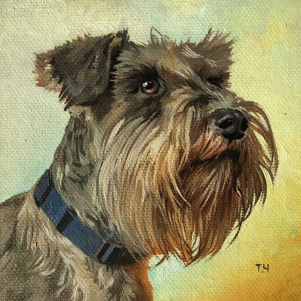 Miniature \"Miniature Schnauzer\"