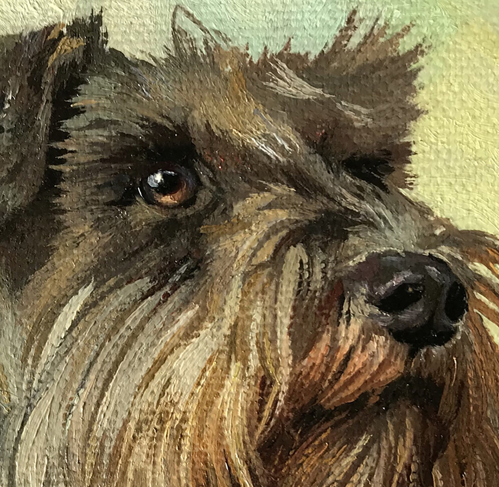 Miniature \"Miniature Schnauzer\"