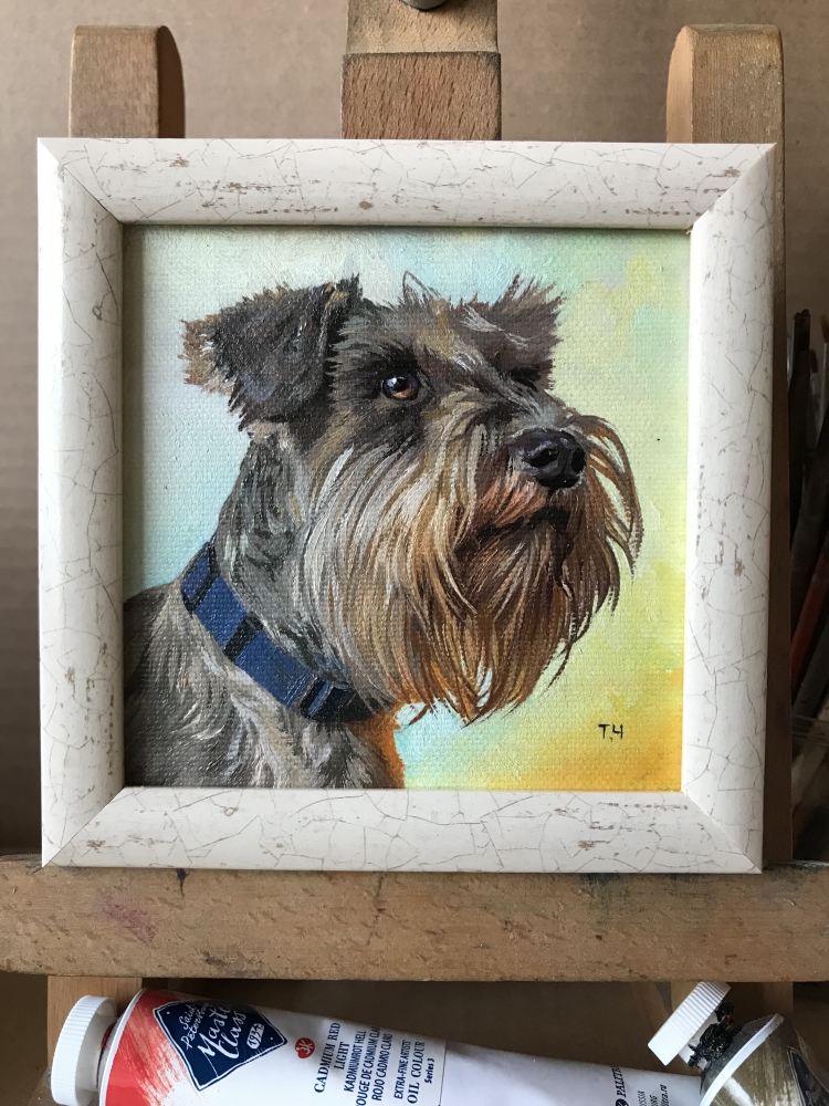 Miniature \"Miniature Schnauzer\"