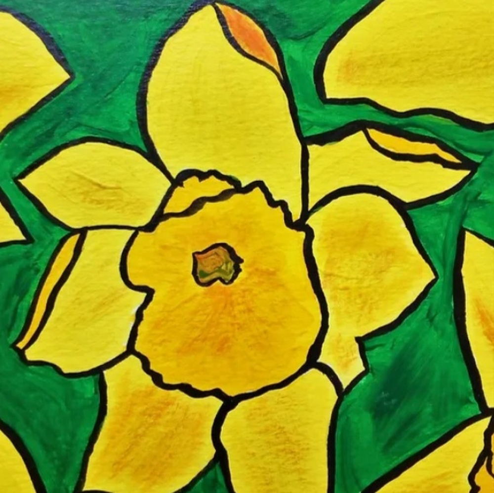 Daffodils 