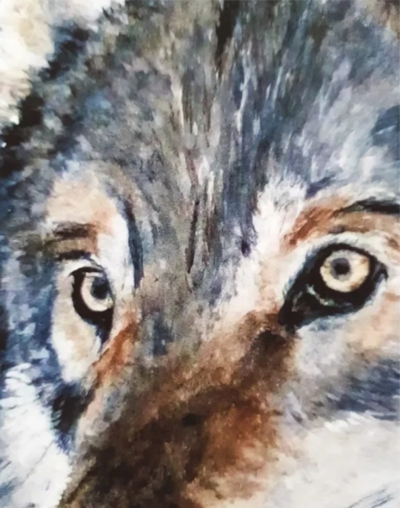 Portrait of a Wolf