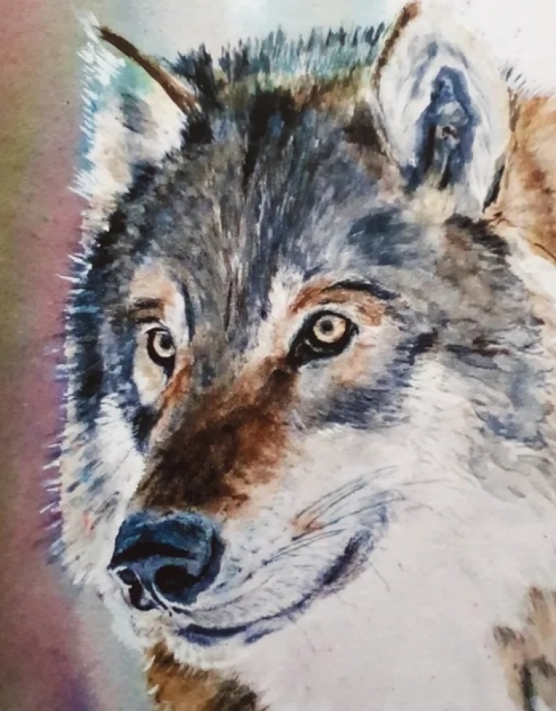 Portrait of a Wolf