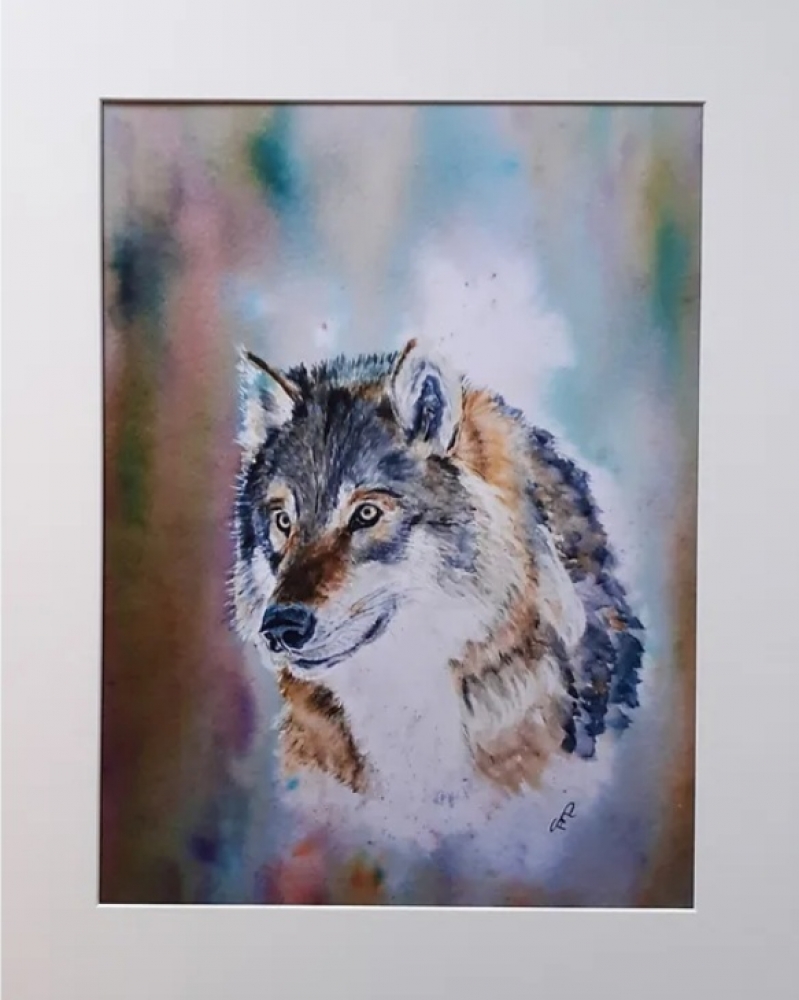 Portrait of a Wolf