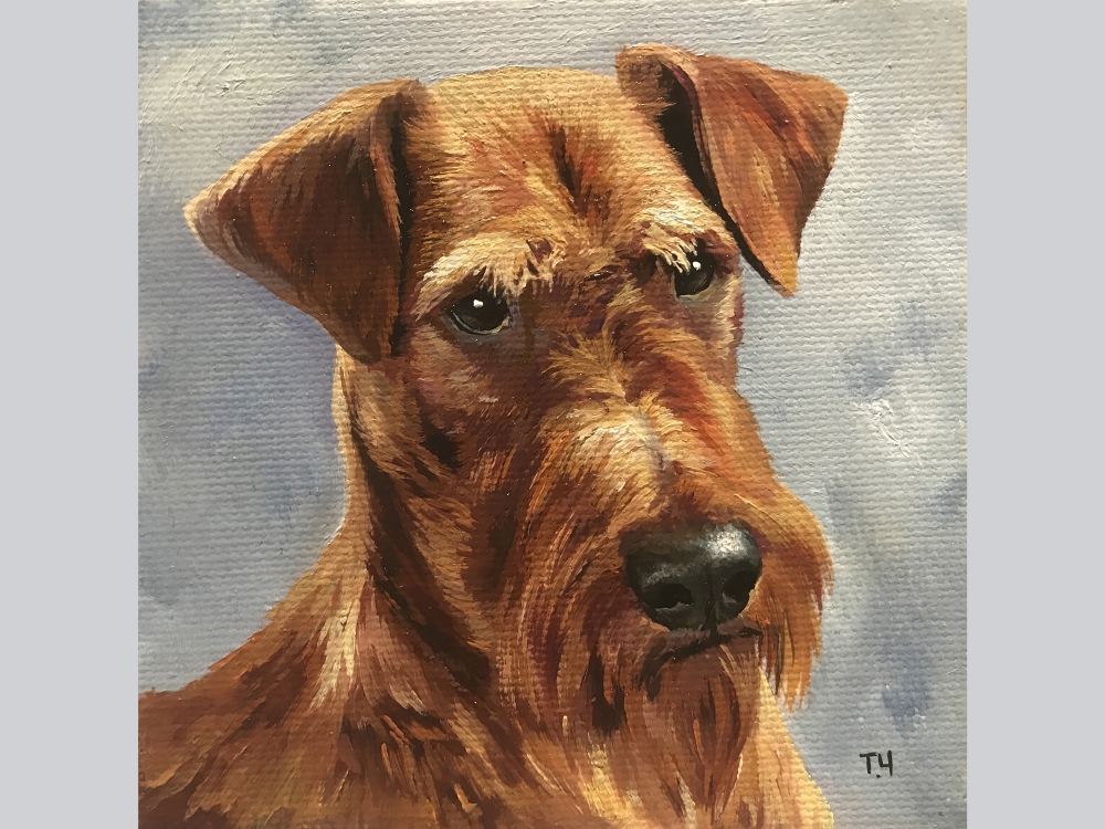 \"Miniature \"Irish Terrier\"