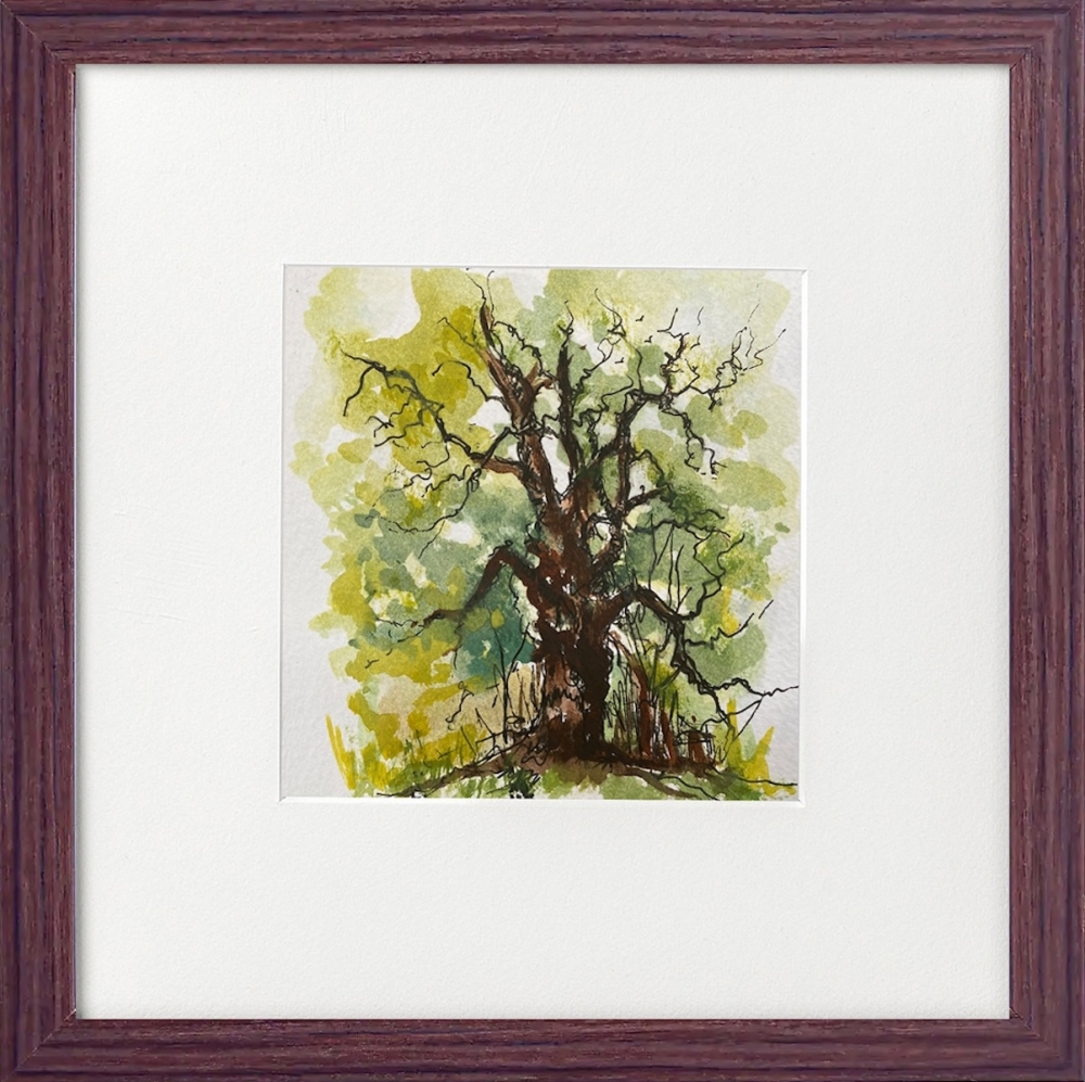 Oak Tree