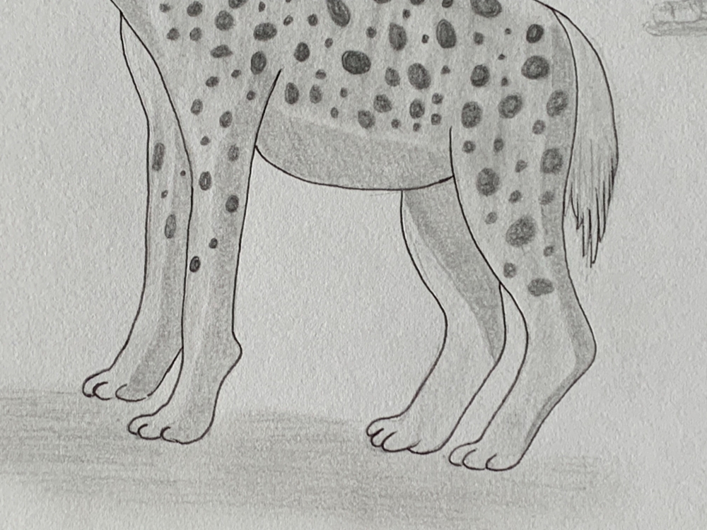 Hyena - Original Pencil Drawing