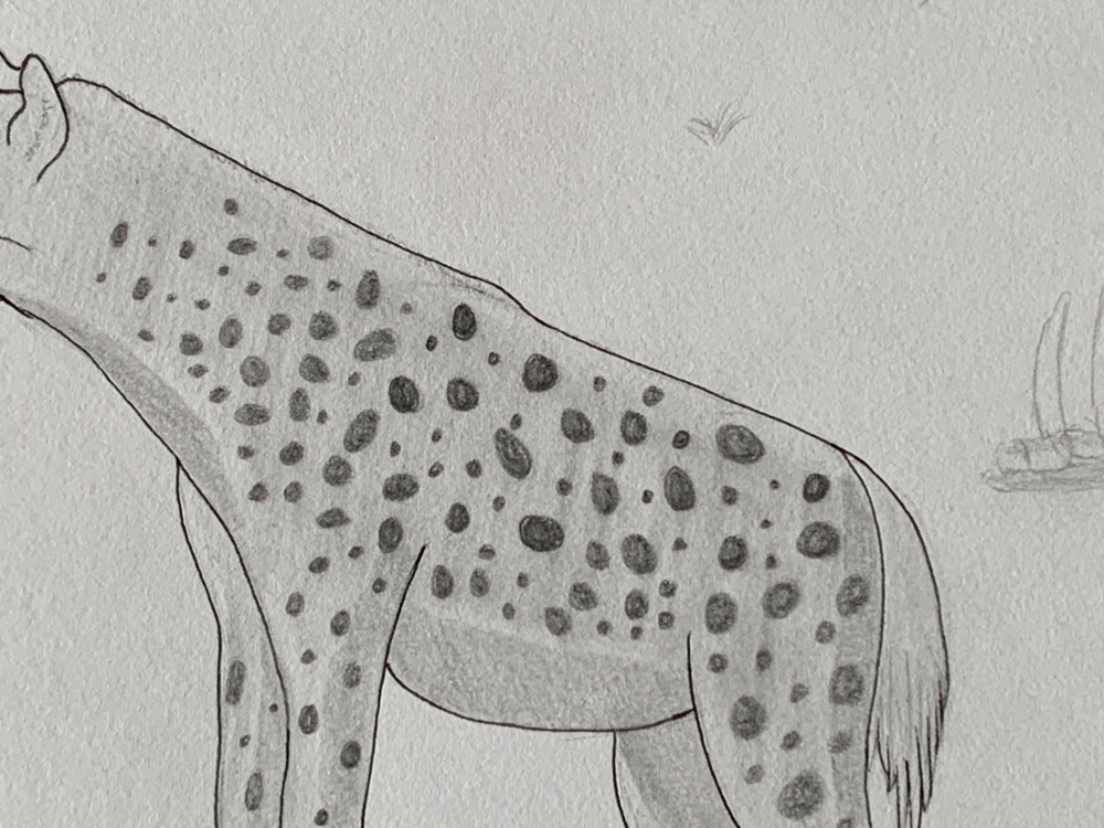 Hyena - Original Pencil Drawing