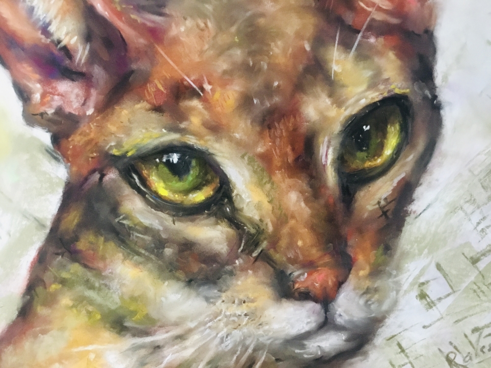 Abyssinean cat painting 