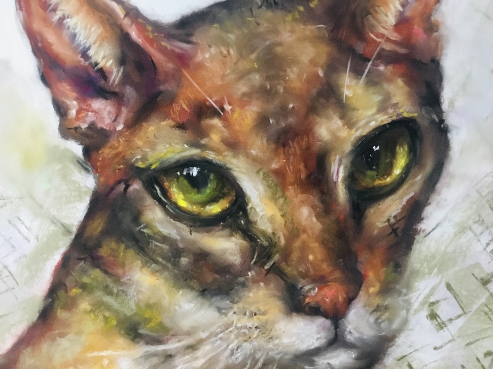 Abyssinean cat painting 