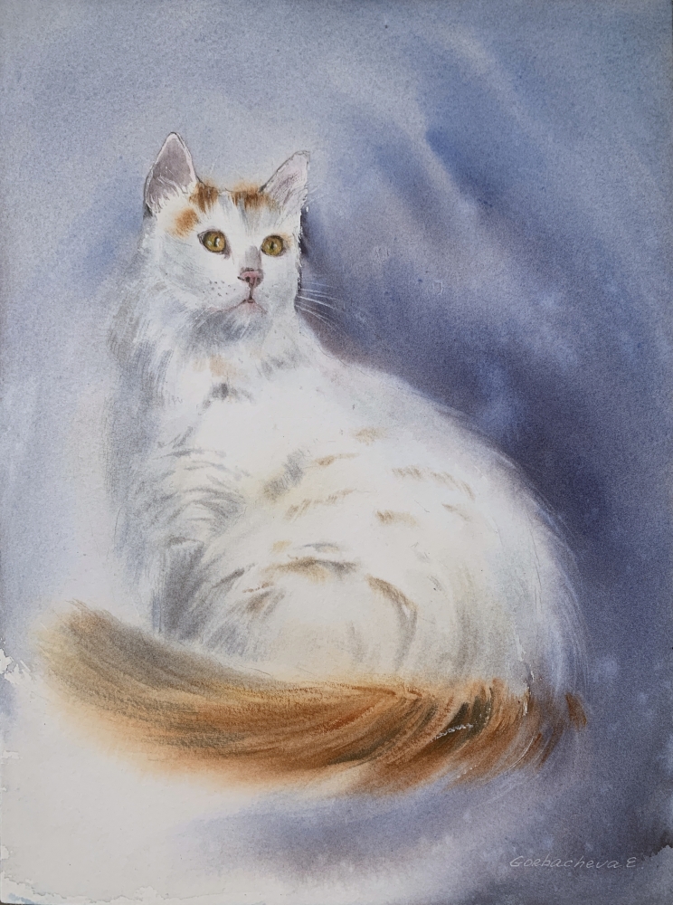 White cat