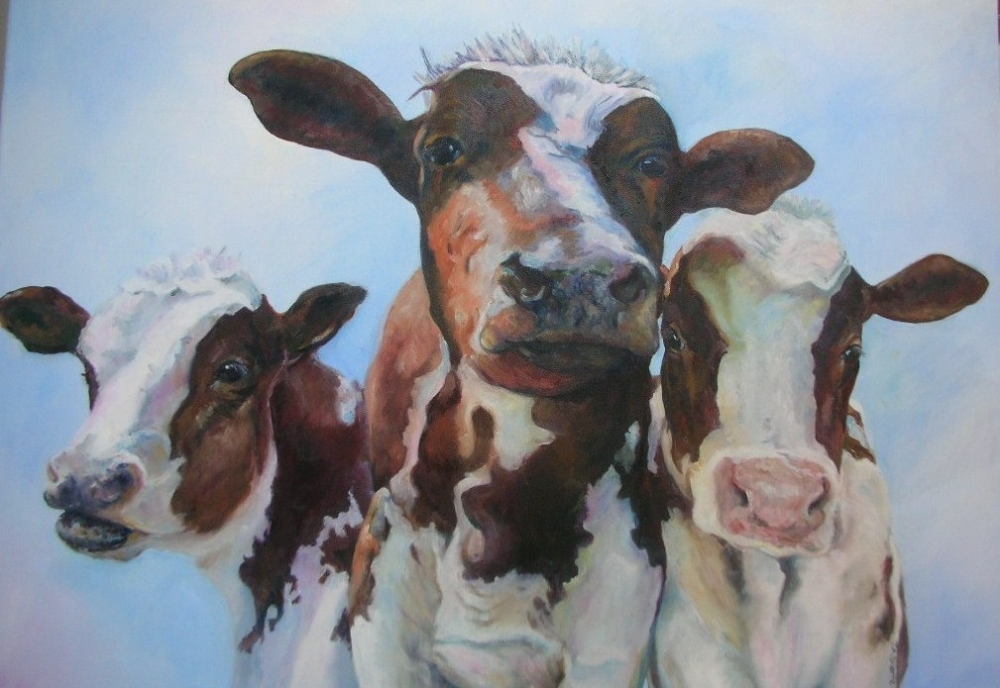 \"Inquisitive Cows\"