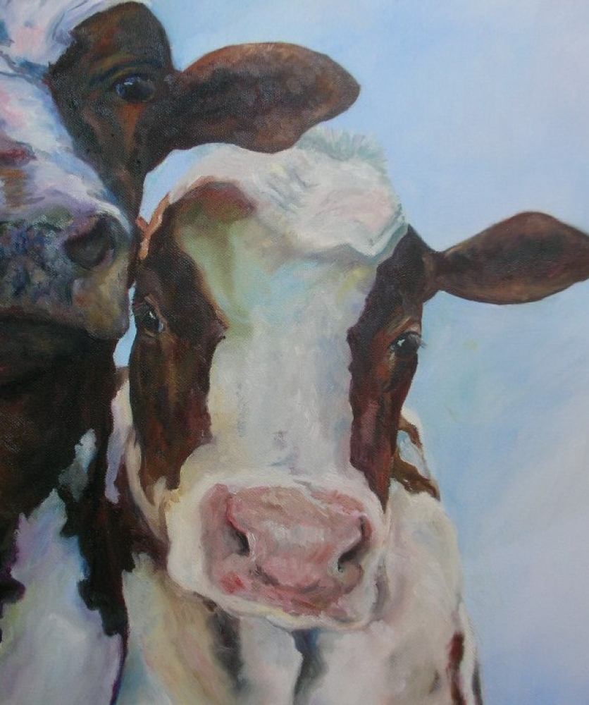 \"Inquisitive Cows\"