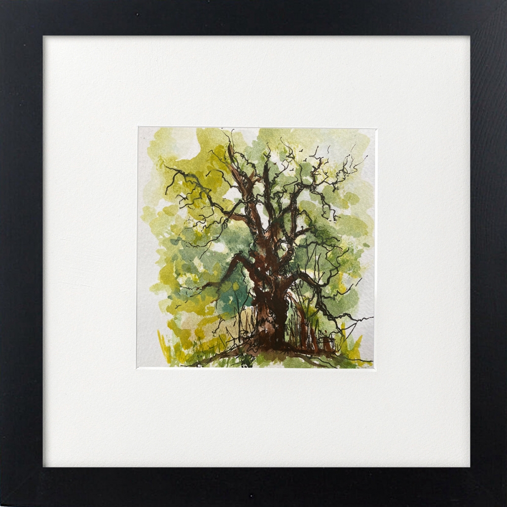 Oak Tree