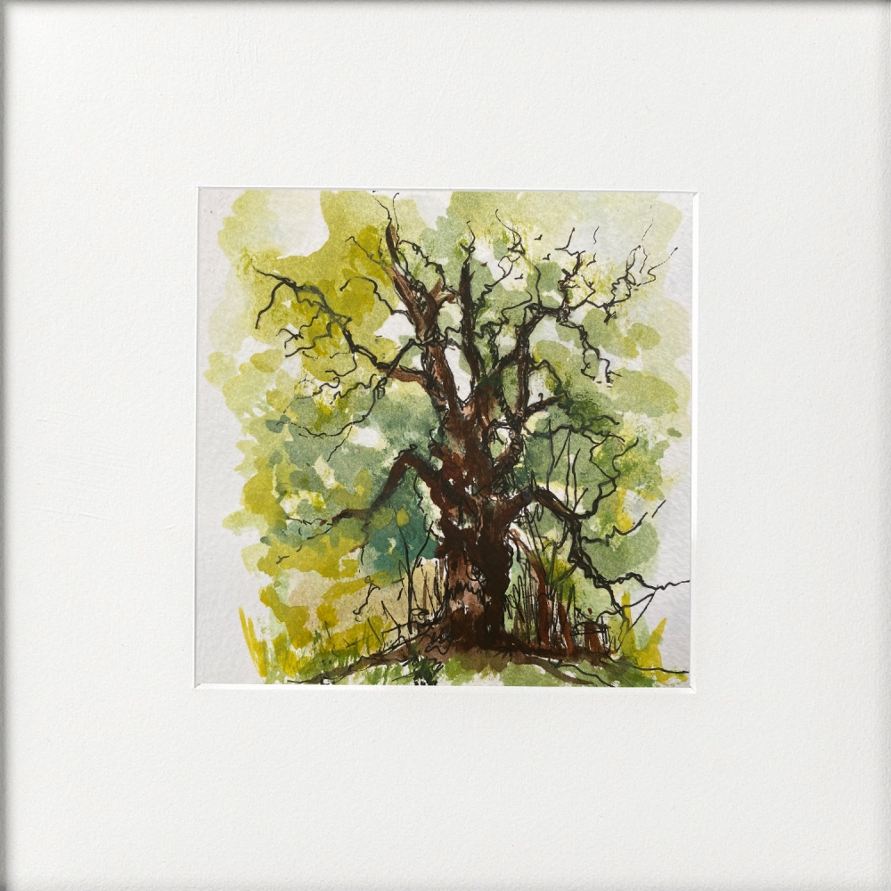 Oak Tree