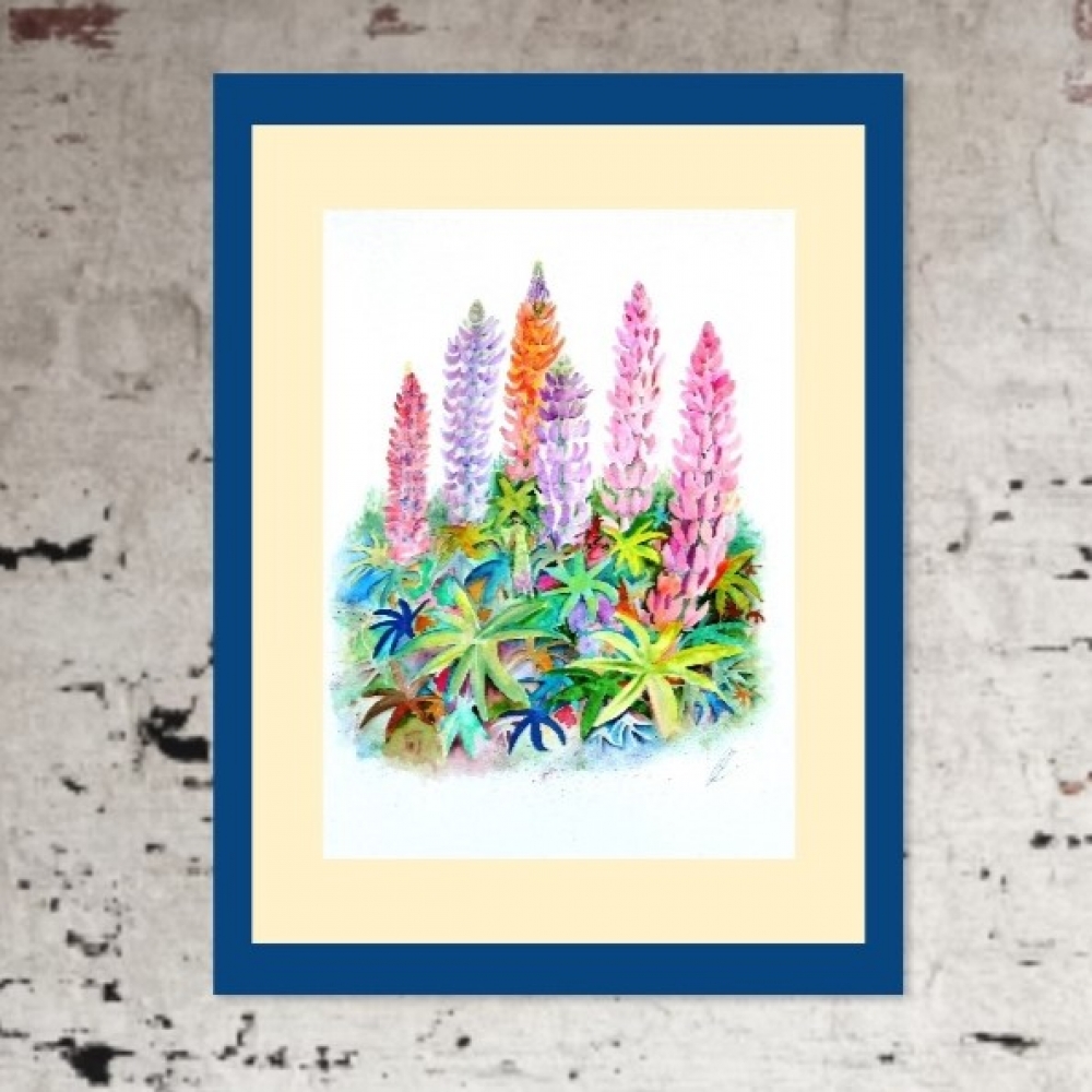 Cottage Garden Lupins