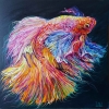 Betta Fish