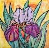 Floral card, Iris 